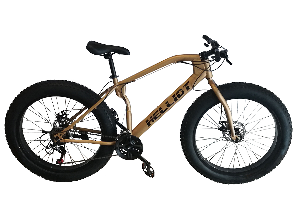 Mongoose Kong Fatbike
